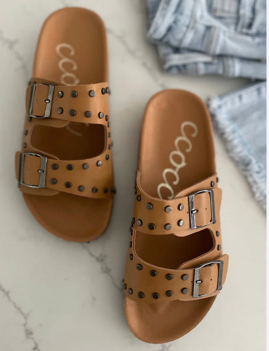 Daniela’s camel slides
